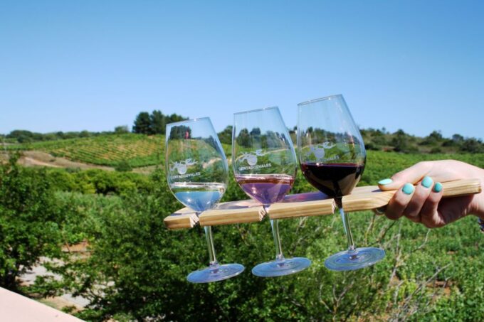 Algarve: 3 Types of Wine Tastings With Vineyard Views - Frequently Asked Questions
