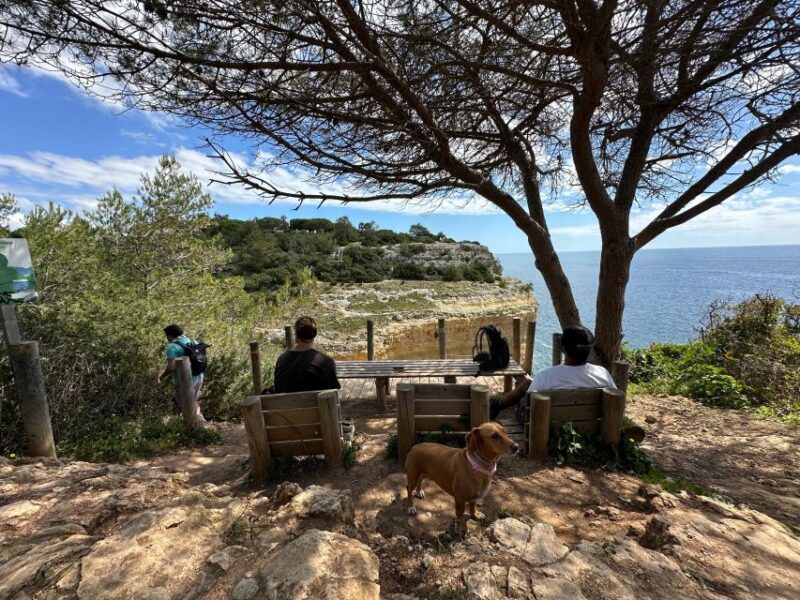 Algarve: 7 Seven Hanging Valley Hike Tour- Photos & Transfer - Key Points