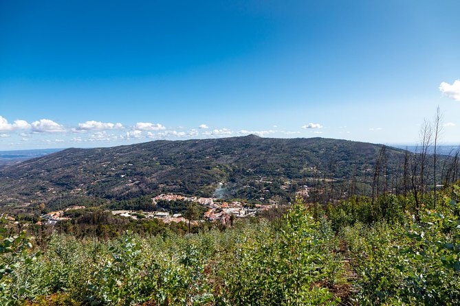Algarve A La Carte - Traversing Cork Forests