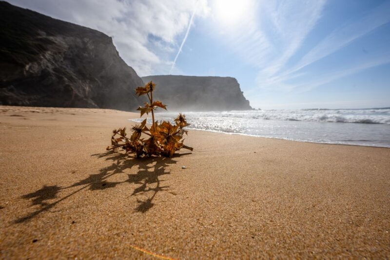 Algarve: Amazing Private Surf Lesson 2 Hours - Eco Surfing and Sustainability