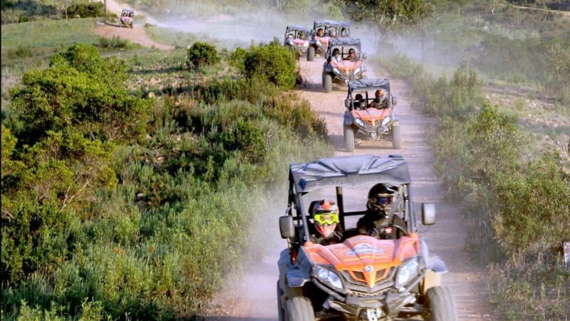 Algarve Buggy Tours - Activity Highlights