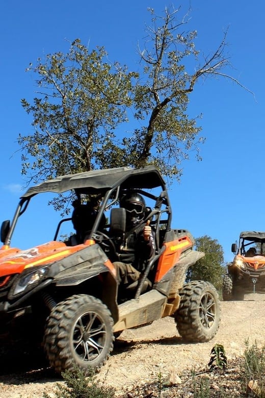 Algarve Buggy Tours - Language Options