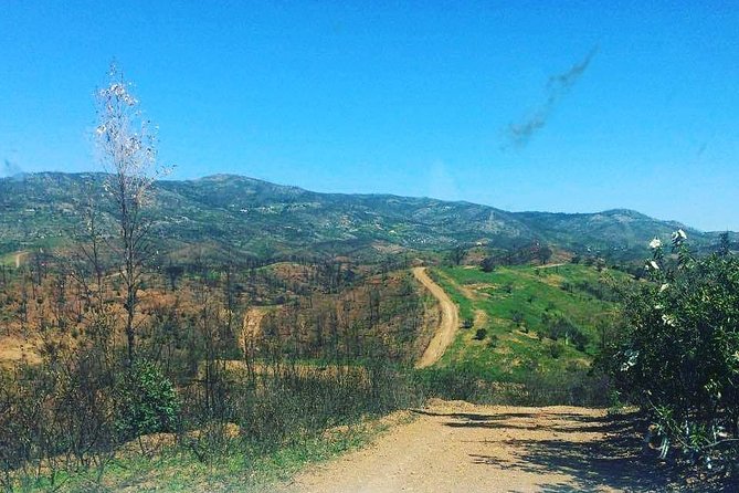 Algarve Charms - 7 Hours (Barrocal or Serra De Monchique) - Transportation and Accessibility