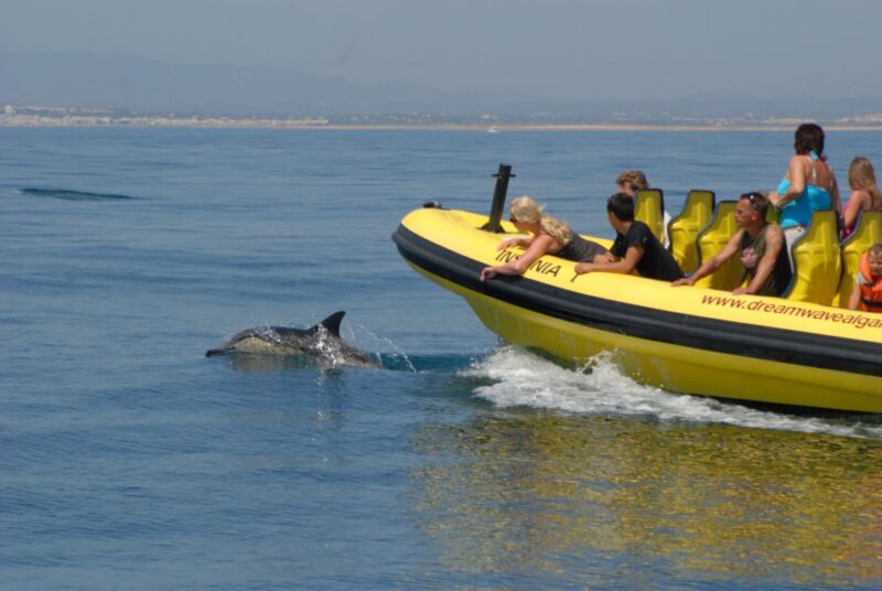 Algarve Coast: Dolphin Watching & Cave Tour - Key Points