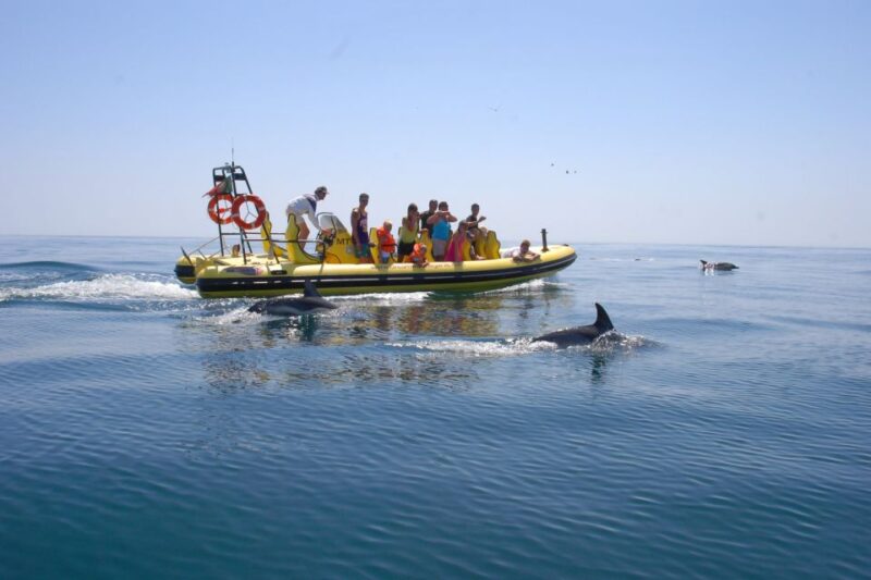 Algarve Coast: Dolphin Watching & Cave Tour - Inclusions and Discounts