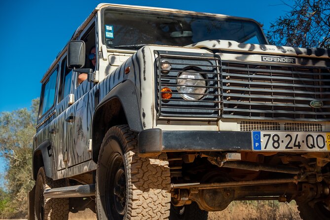 Algarve Coastline & Beaches - Private Tour - Reviews and Feedback