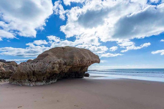 Algarve Coastline & Beaches - Private Tour - Pricing