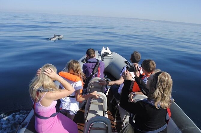 Algarve Dolphin Watching & Marine Life Eco Tour - Exploring Ria Formosa