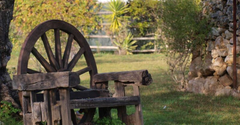 Algarve: Flavors and Traditions Tour - Important Information