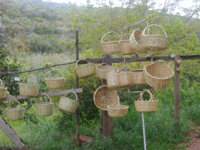 Algarve: Flavors and Traditions Tour - Cork Production Secrets