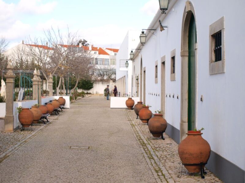 Algarve: Flavors and Traditions Tour - Inclusions