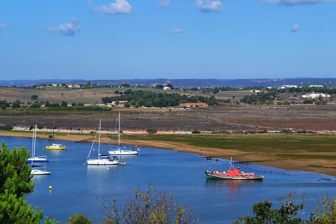 Algarve Full Day Among Moors & Romans - Accessibility and Participation