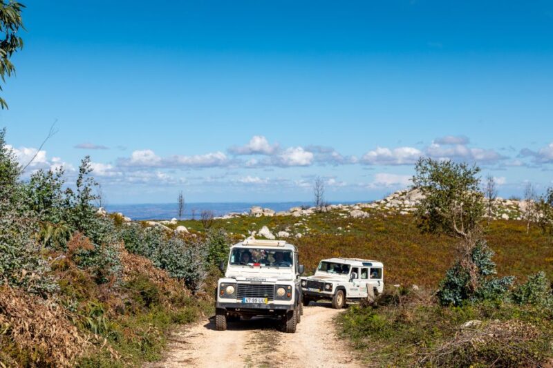 Algarve: Full-Day Guided Sightseeing Tour With Lunch - Itinerary Highlights