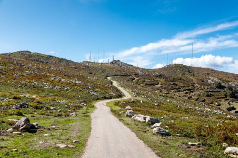Algarve: Full-Day Guided Sightseeing Tour With Lunch - Participant Information