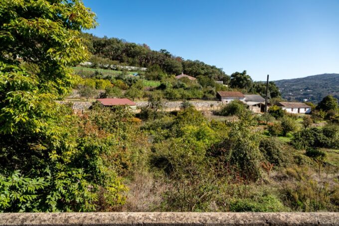 Algarve: Full-Day Guided Sightseeing Tour With Lunch - Frequently Asked Questions