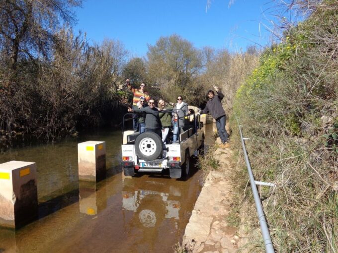 Algarve Full-Day Jeep Safari Tour With Lunch - Guide and Transportation Ratings