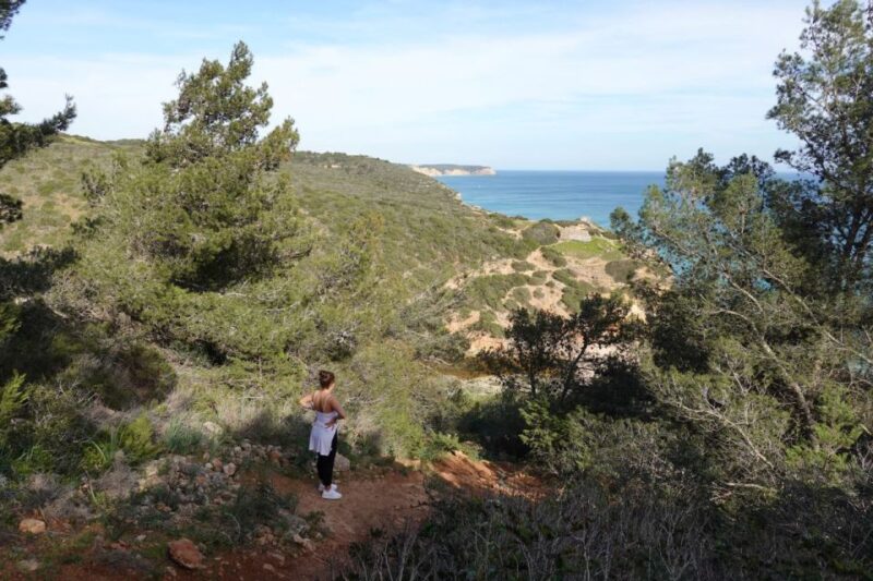 Algarve: Guided WALK in the Natural Park | South Coast - Experience and Activities