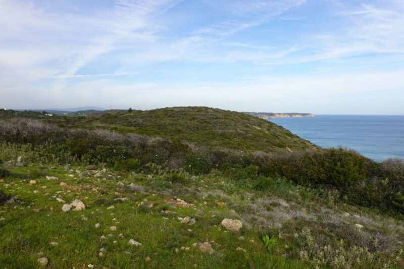 Algarve: Guided WALK in the Natural Park | South Coast - Participant Requirements