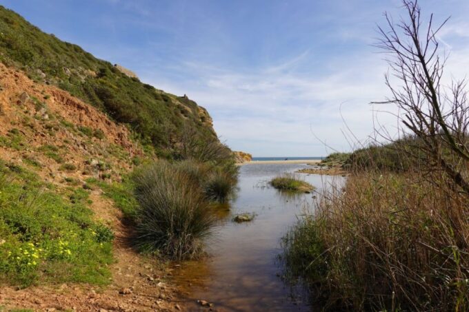 Algarve: Guided WALK in the Natural Park | South Coast - Hiking Duration