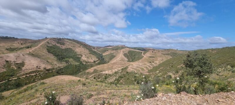 Algarve: Half Day Getaway - 3 Hours off Road Buggy Tour - Activity Details
