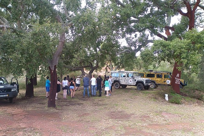 Algarve Half Day Jeep Safari Tour - Making Firewater