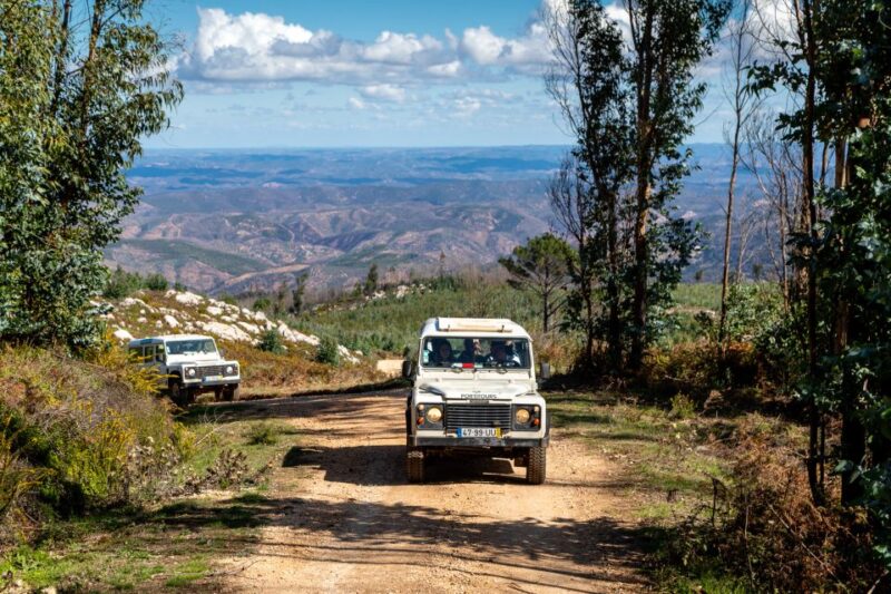 Algarve: Jeep Safari With Distillery Visit & Lunch - Experience Highlights