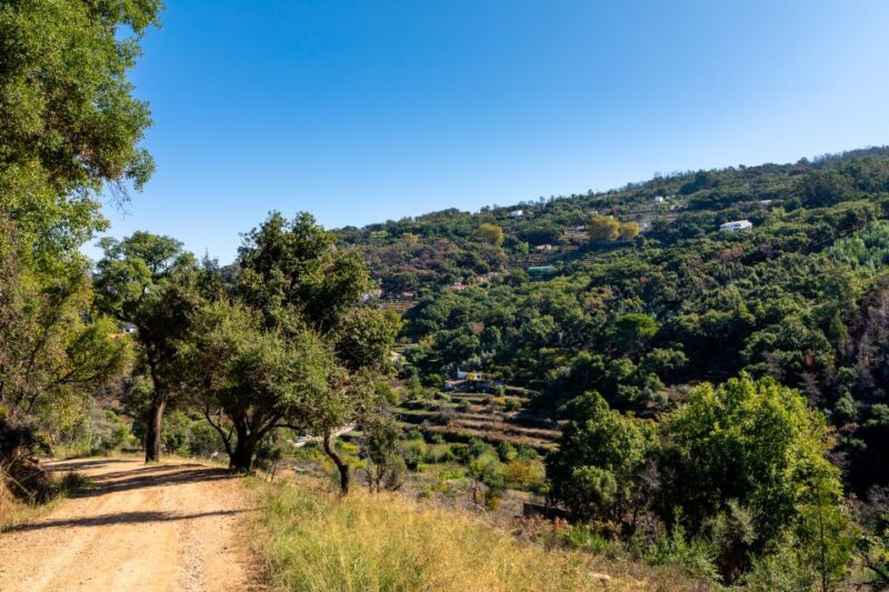 Algarve: Jeep Safari With Distillery Visit & Lunch - Customer Reviews
