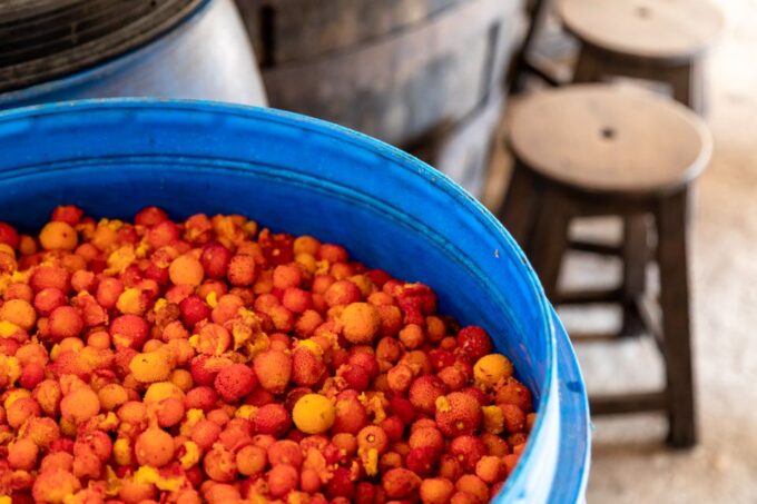 Algarve: Jeep Safari With Distillery Visit & Lunch - Visiting Small White-Washed Villages