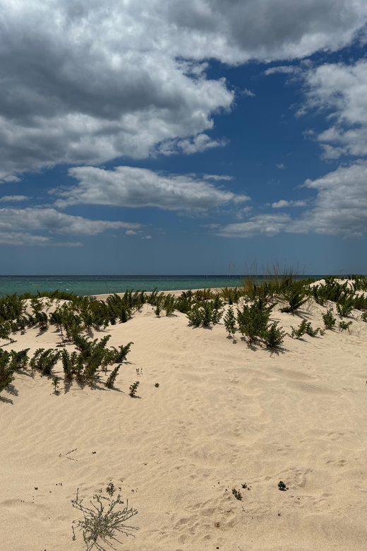 Algarve, Lisbon; V.I.P. Womens Road Trip With Female Guide - Luxury Picnic Details