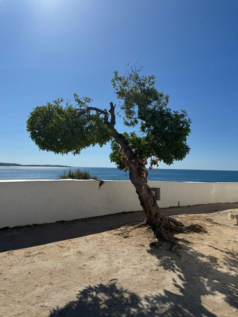 Algarve, Lisbon; V.I.P. Womens Road Trip With Female Guide - Passionate Local Guidance