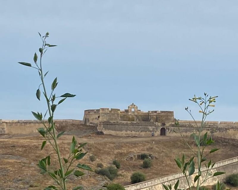 Algarve, Lisbon; V.I.P. Womens Road Trip With Female Guide - Logistics and Inclusions