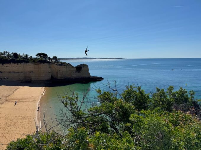 Algarve, Lisbon; V.I.P. Womens Road Trip With Female Guide - Itinerary Customization