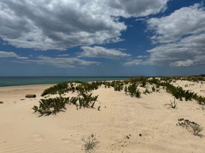 Algarve, Lisbon; V.I.P. Womens Road Trip With Female Guide - Booking and Cancellation