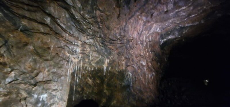 Algarve Mine Tour - Experience Highlights