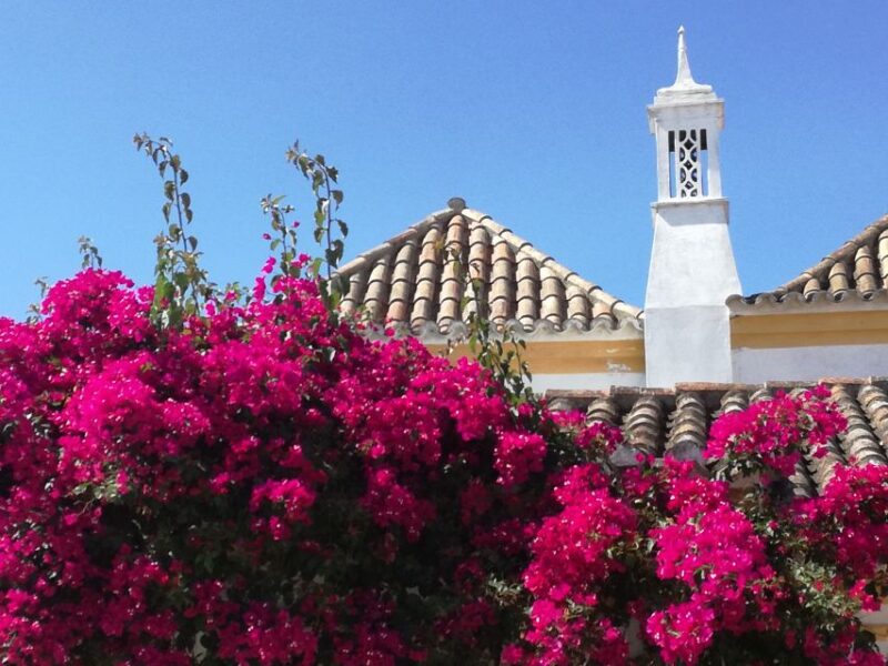 Algarve: Off-the-Beaten-Path Day Trip - Itinerary Highlights