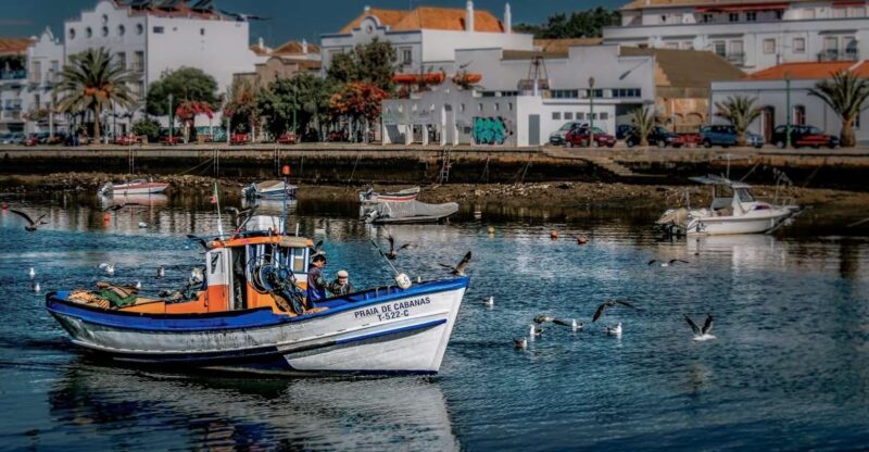 Algarve: Off-the-Beaten-Path Day Trip - Important Notes
