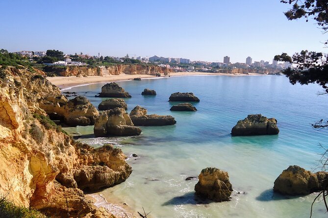 Algarve Private Tour With Typical Lunch - Tour Details