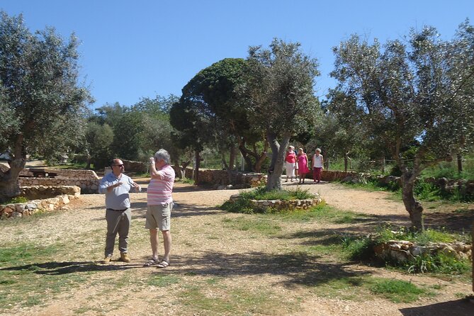 Algarve Private Tour With Typical Lunch - Ria De Alvor Nature Reserve