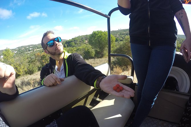 Algarve Safari - Full Day Tour From Albufeira W / Lunch - Policies and Restrictions