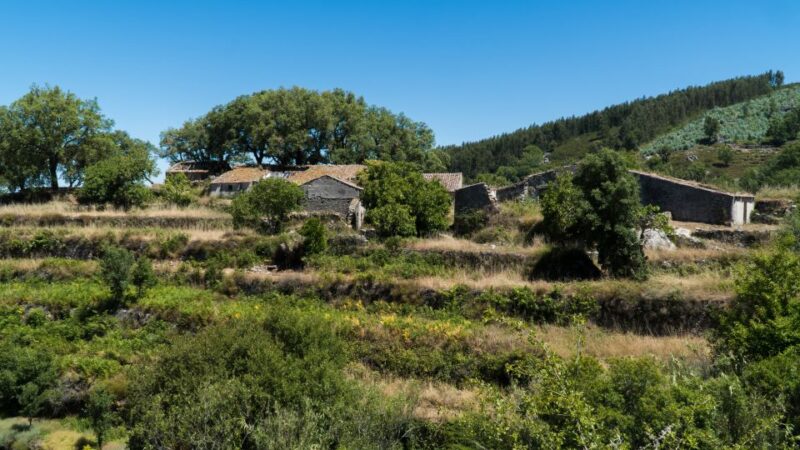 Algarve: Serra De Monchique & Bravura Off-Road Day Trip - Key Points