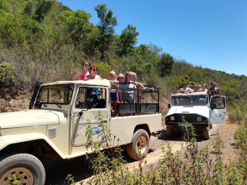 Algarve: Sunset Jeep Safari Tour - Accessibility and Inclusions