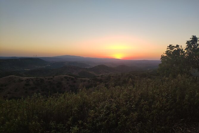 Algarve Sunset Safari Tour From Albufeira - Important Information