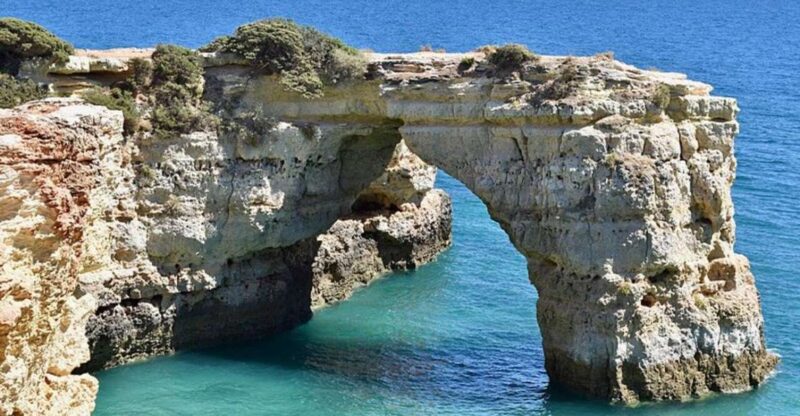 Algarve to Lisbon up to 3 Stops - Winery Visit and Wine Tasting