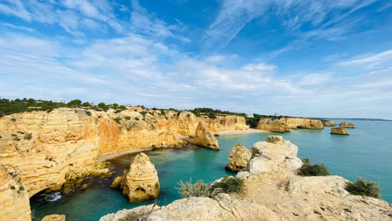Algarve: Tour of The Rock Formations & Cork Oak Forest - Key Points