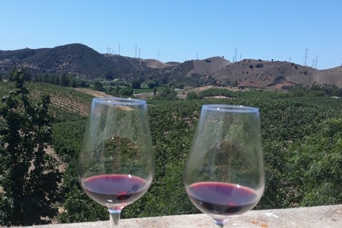 Algarve Wine Tour and Farmers Lunch at Wine Estate - Quinta Do Frances Winery