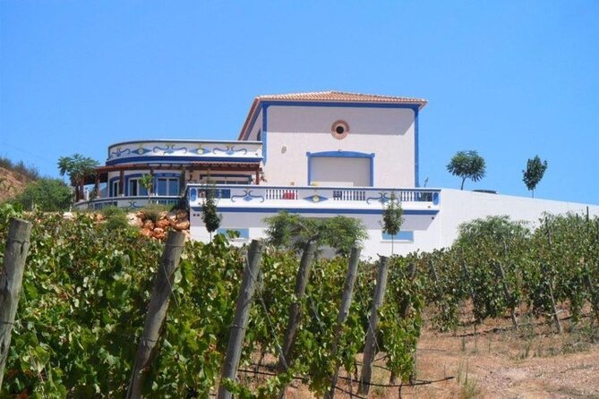 Algarve Wine Tour and Farmers Lunch at Wine Estate - Accessibility and Additional Information