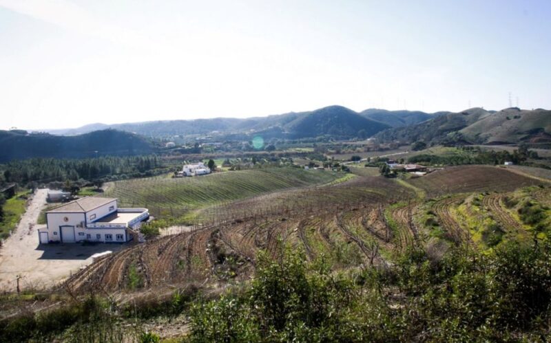 Algarve Wine Tour and Mountain Top Trip With Lunch or Dinner - Itinerary and Activities