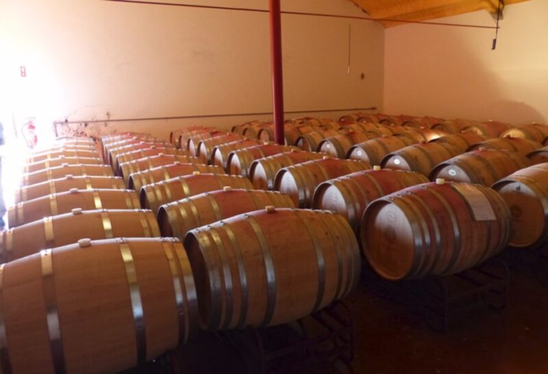 Algarve Wine Tour and Mountain Top Trip With Lunch or Dinner - Wine Education