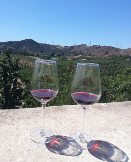 Algarve Wine Tour of Two Estates Guided by Wine Expert - Wine Tasting Experiences