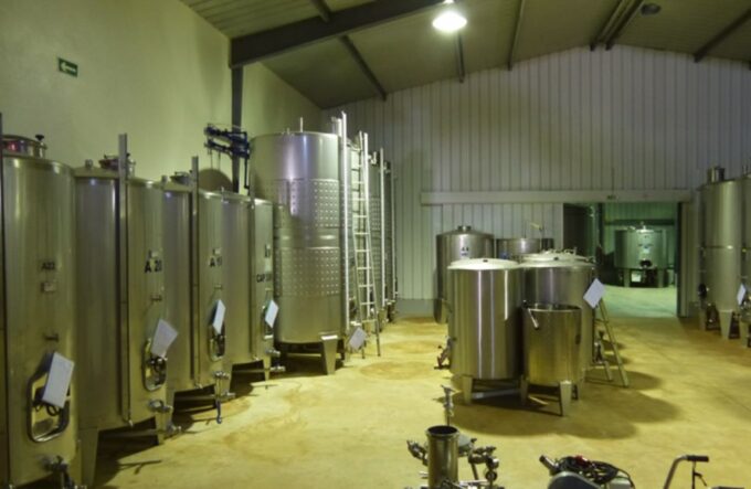 Algarve Wine Tour of Two Estates Guided by Wine Expert - Customer Feedback